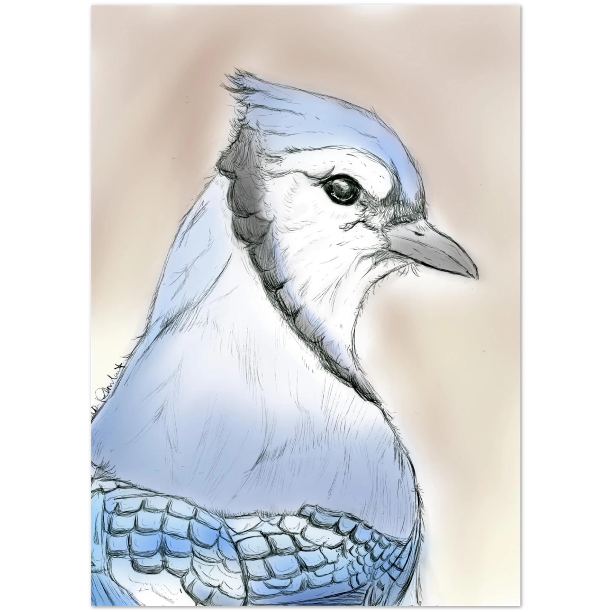 557cf6ff-7081-4b4e-ba2c-08113703da4d